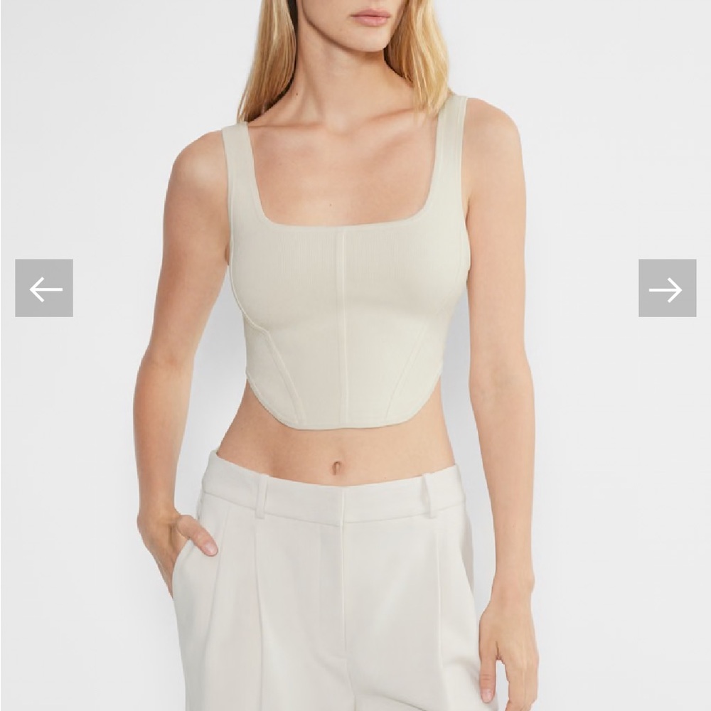 Aritzia Babaton Scuplt Knit Bustier Tank